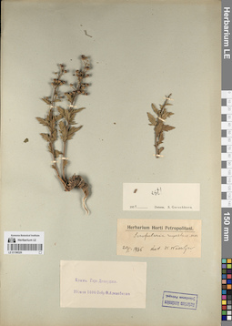 LE 01196326
