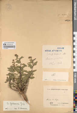 LE 01196331