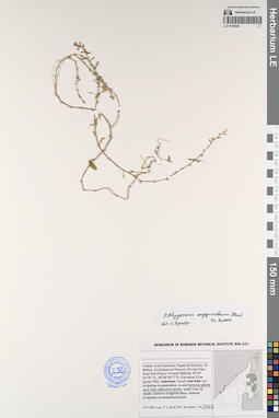 LE 01194025