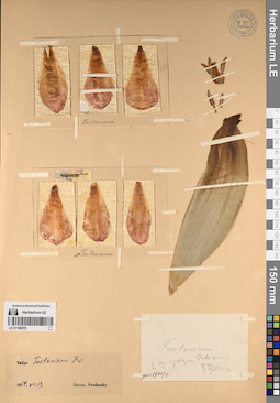 LE 01196979