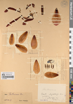 LE 01196980