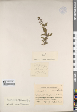 LE 01196334