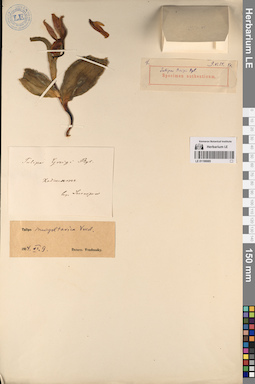 LE 01196985