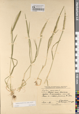 LE 01230841