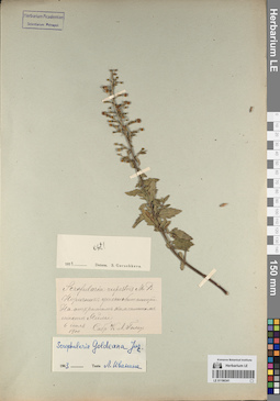 LE 01196341
