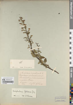 LE 01196342