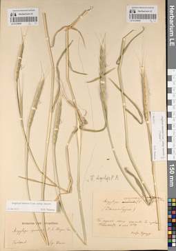 LE 01230854