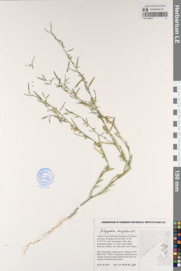 LE 01194073