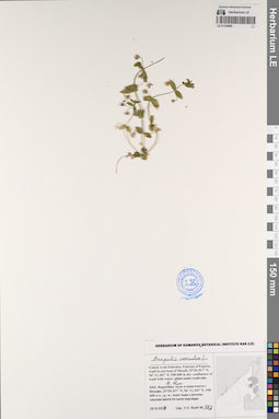 LE 01194080