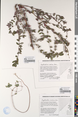 LE 01193953