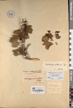 LE 01020769