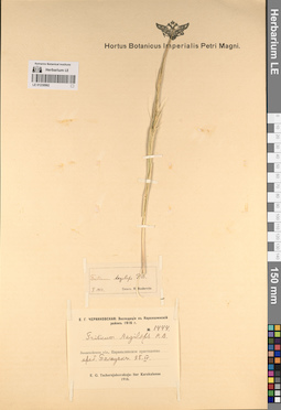 LE 01230992