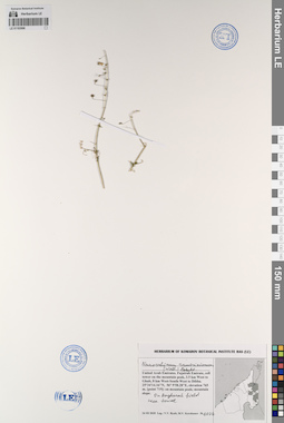 LE 01193996