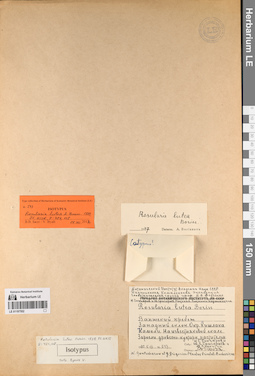 LE 01197552
