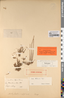 LE 01197567