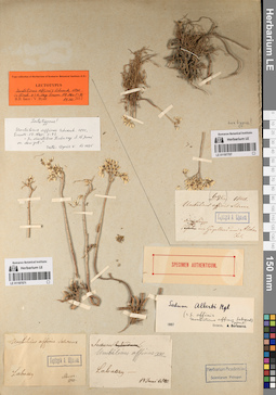 LE 01197571