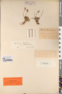 LE 01197574