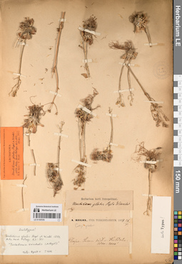 LE 01197578