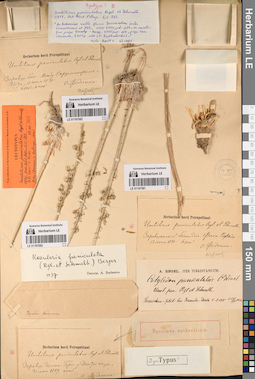 LE 01197582