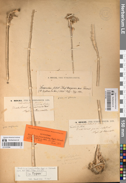 LE 01197584