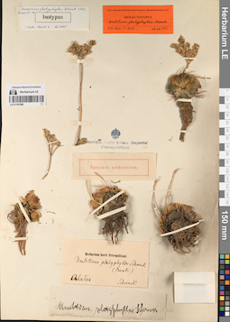LE 01197590