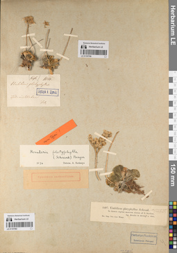 LE 01197592
