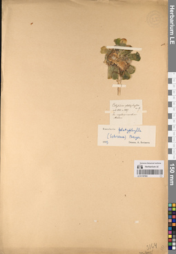 LE 01197593