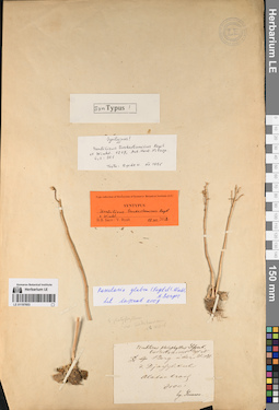 LE 01197603
