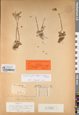 LE 01197604