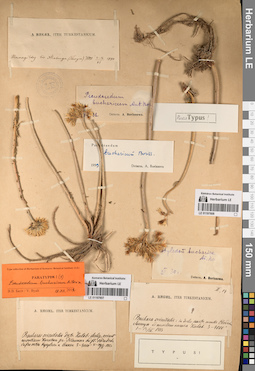 LE 01197607