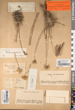 LE 01197611