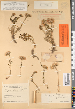 LE 01197612