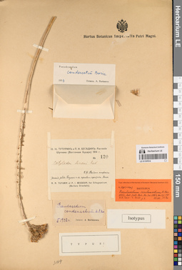 LE 01197614
