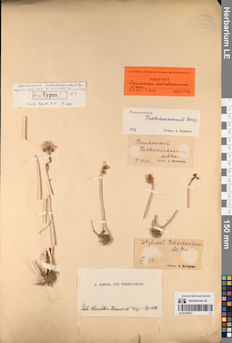 LE 01197617