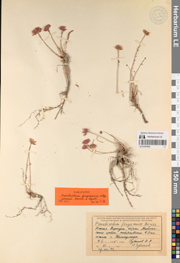 LE 01197624