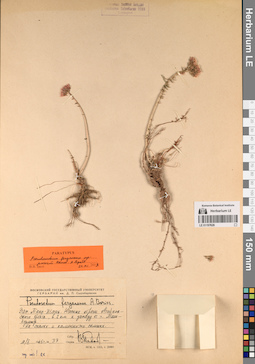 LE 01197626