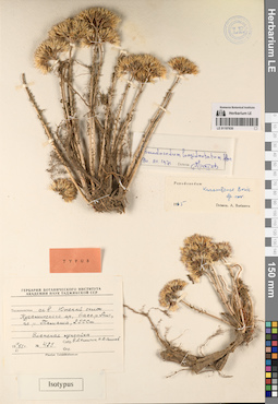 LE 01197630