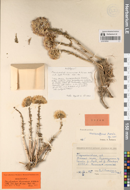 LE 01197631