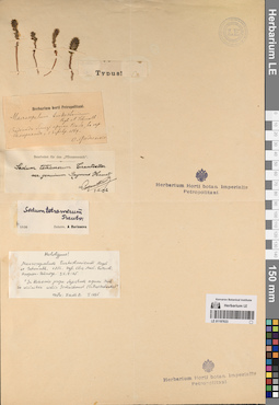 LE 01197633