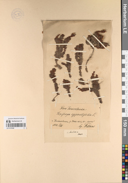 LE 01197649
