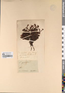 LE 01197656