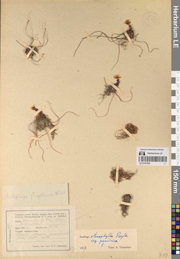 LE 01197664