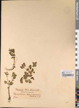 LE 01197665