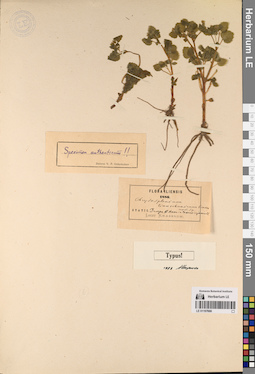 LE 01197666