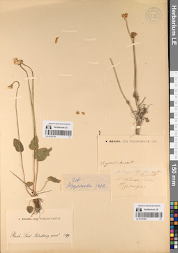 LE 01197701