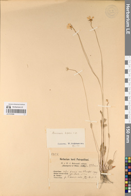 LE 01197669