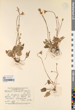 LE 01197671