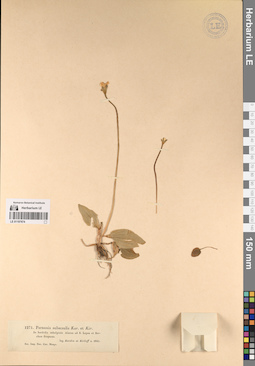 LE 01197674