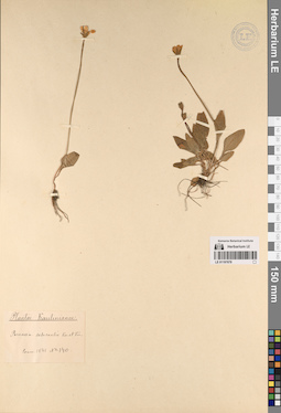 LE 01197678