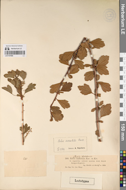 LE 01197680